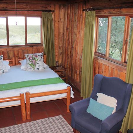 Greenfire Drakensberg Lodge Bonjaneni Bilik gambar