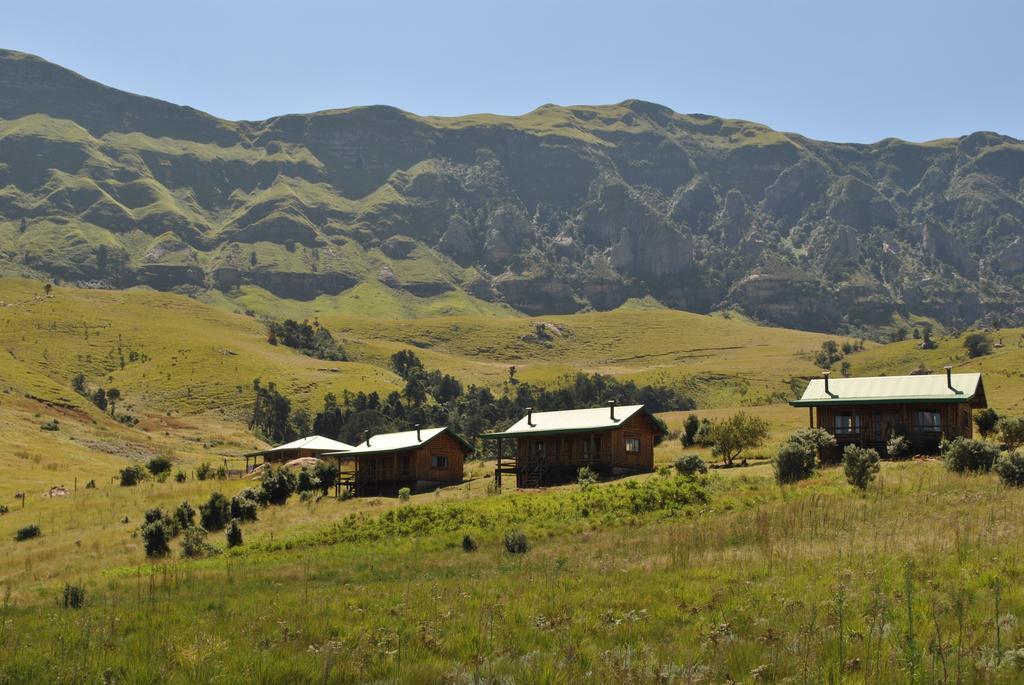 Greenfire Drakensberg Lodge Bonjaneni Bilik gambar