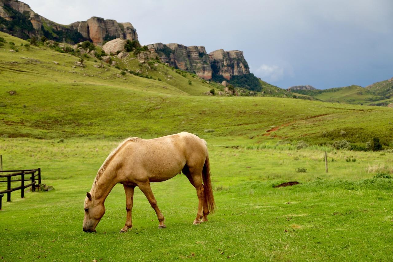 Greenfire Drakensberg Lodge Bonjaneni Luaran gambar