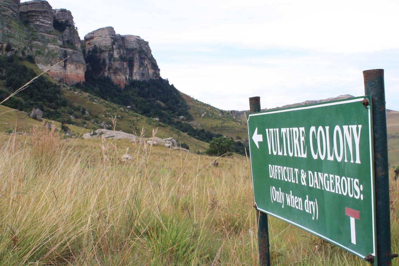 Greenfire Drakensberg Lodge Bonjaneni Luaran gambar